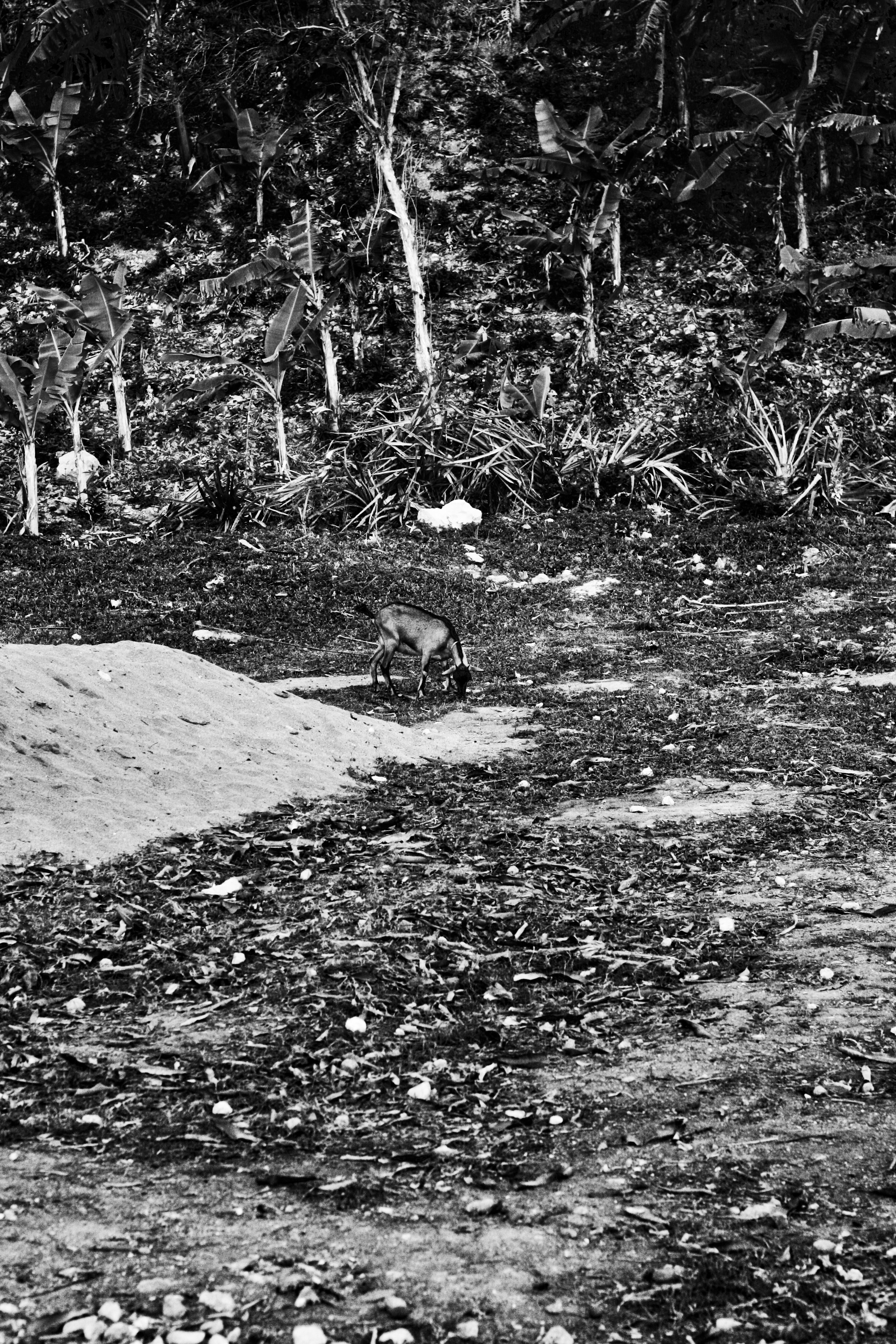 Theres two sides to every coin…infinite perspectives on every story…look deepely and you’ll find life