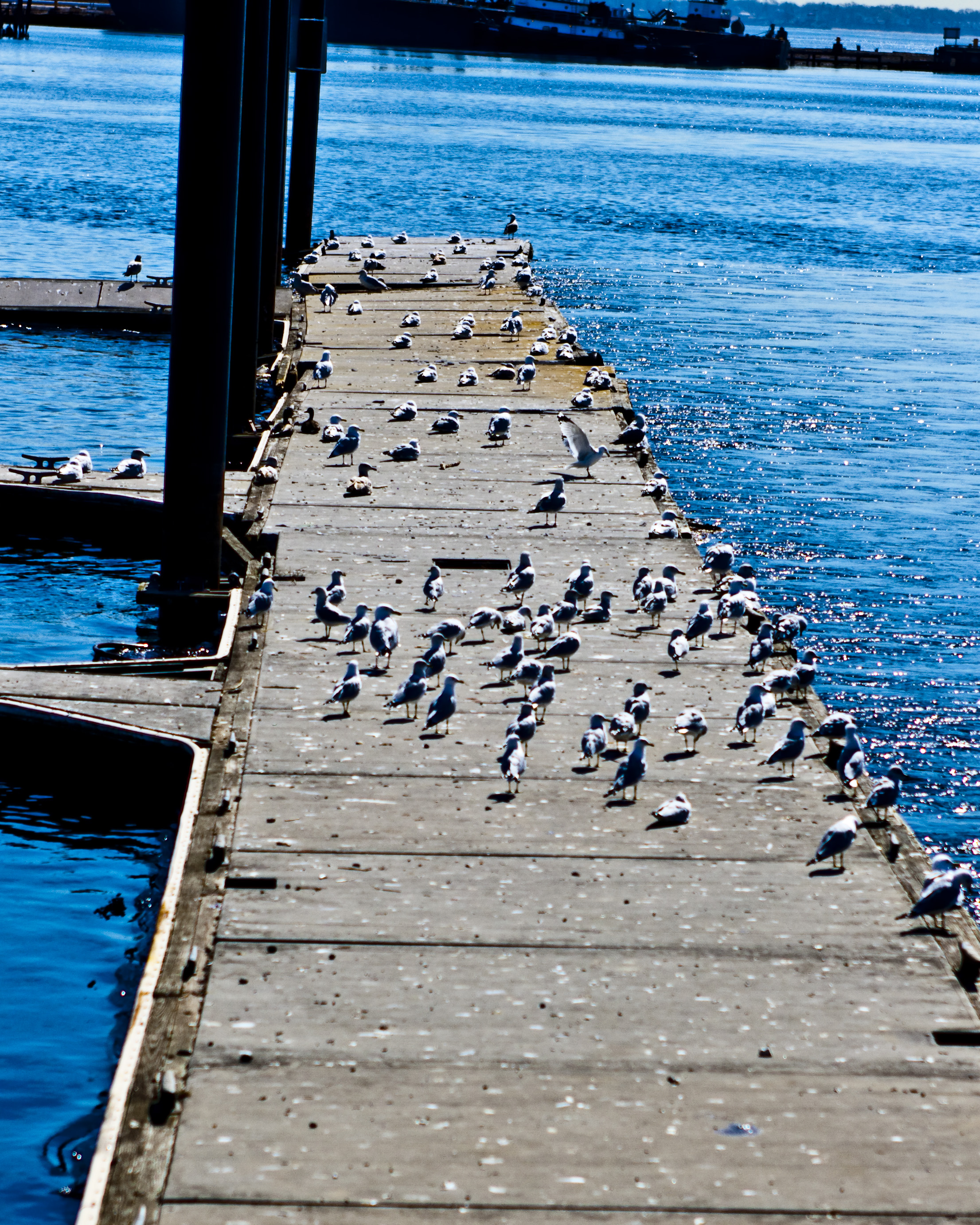 We Ain’t the only ones that bask in the sun