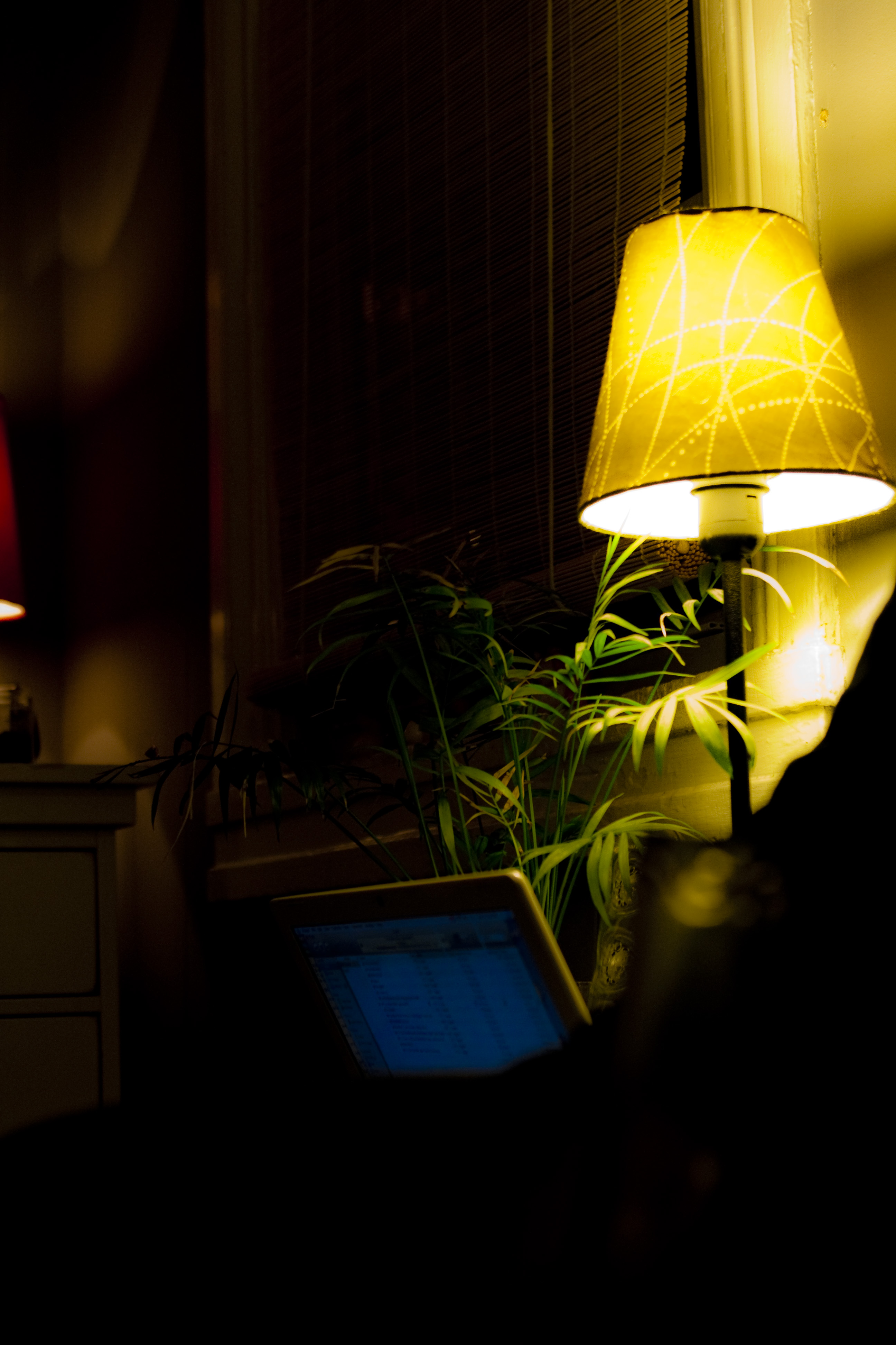 NIM freeshoot: We feed life with electric suns!