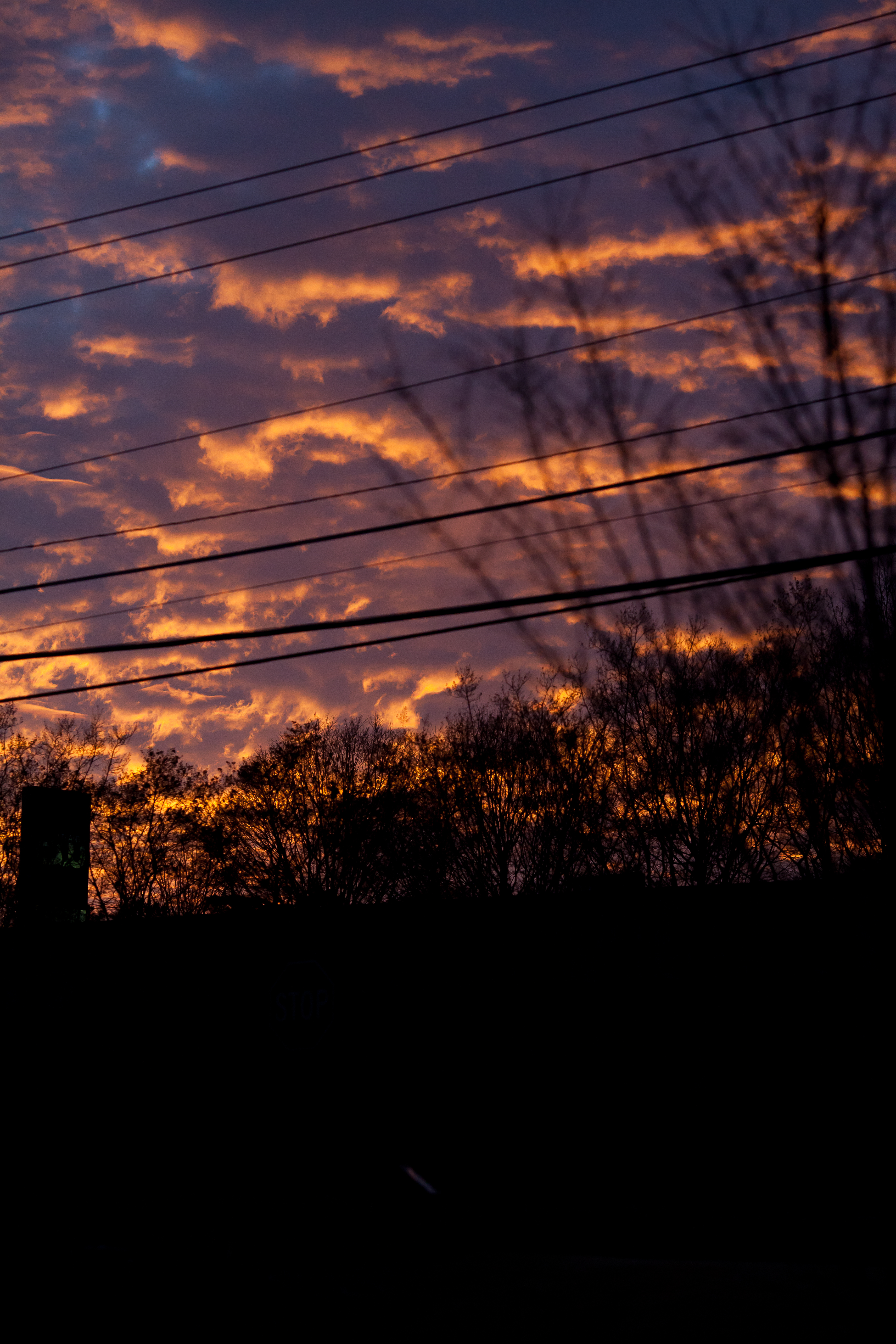 XXIII Never Stopped Looking Up