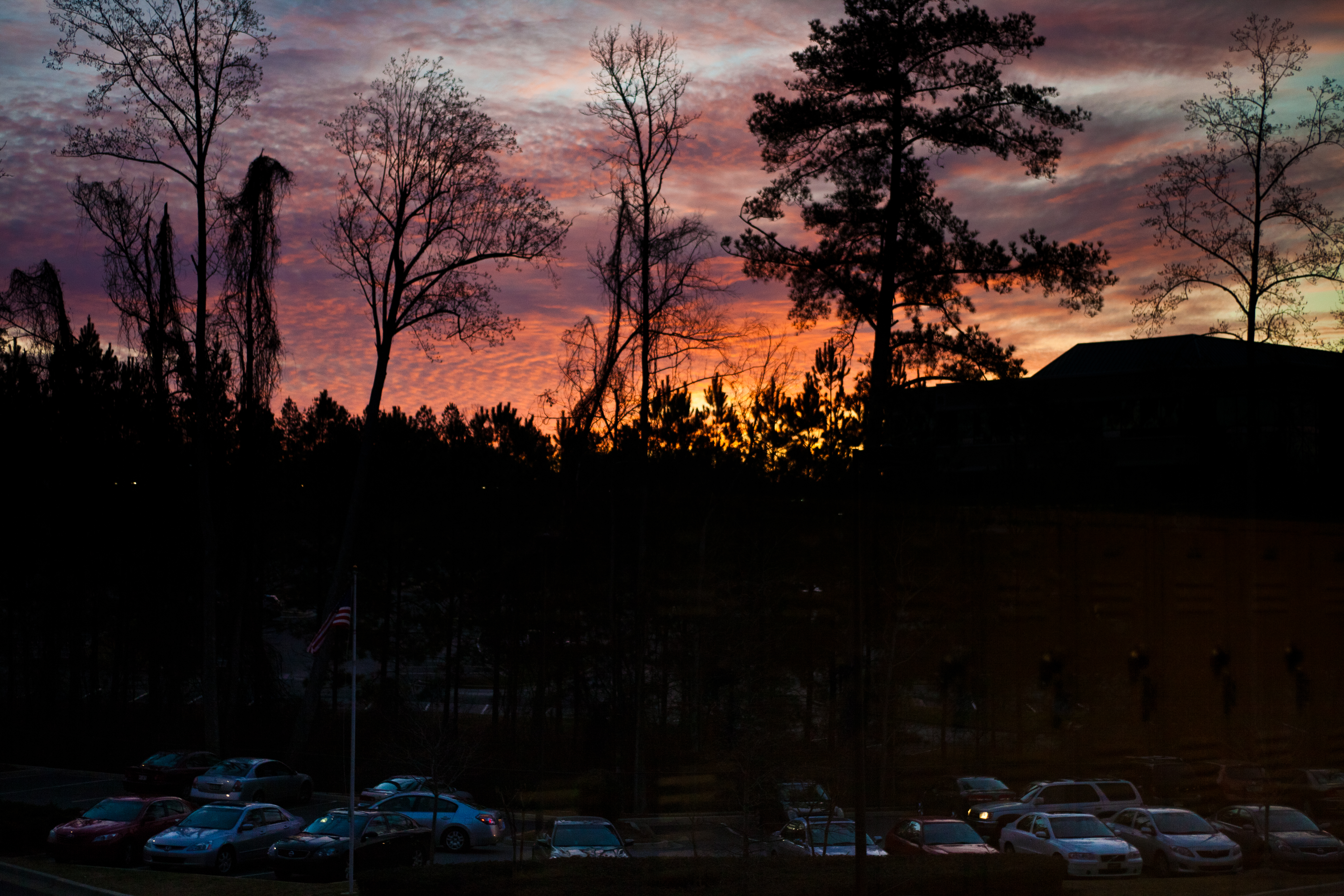 XVII Which Plain Should I focus in?