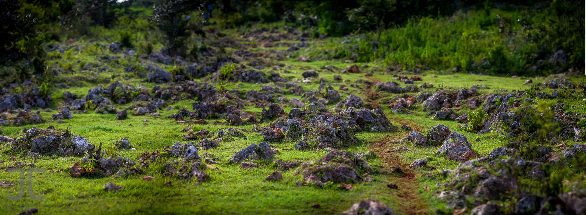 replacementUntitled_Panorama1