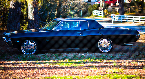 XXIX Through The Fence