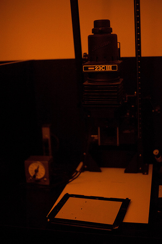 CXXXIV The True Roots