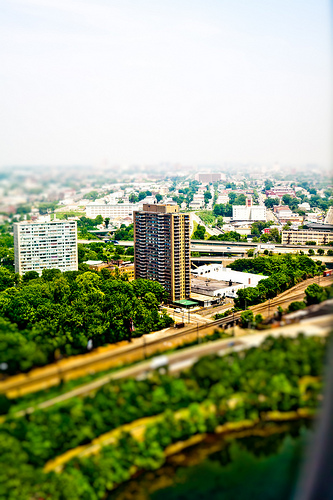 CXXXXVII Garden State