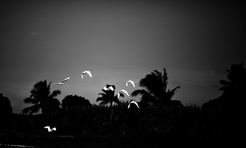 CLXXVIII Freedom Flight