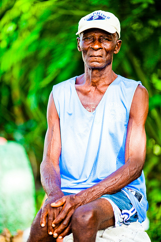 CLXXXI Portrait of a PAPA