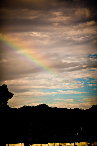 CLXXXX I want some Takis