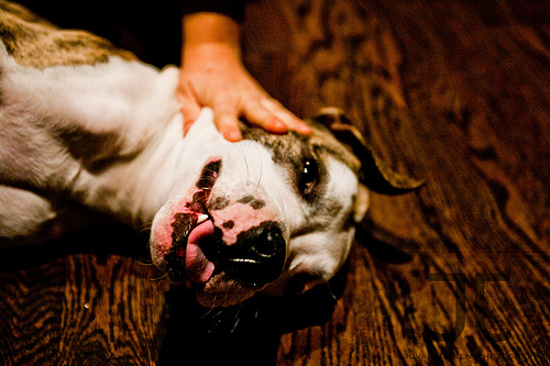 CCCVII Becoming an Advocate