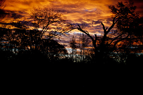 CCCXXXI Touch Across Ages