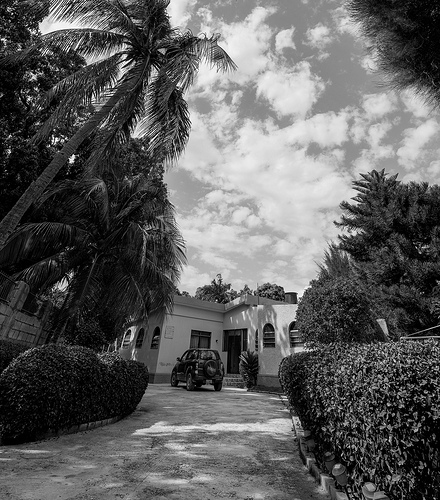 23~1.23.2013 What you think