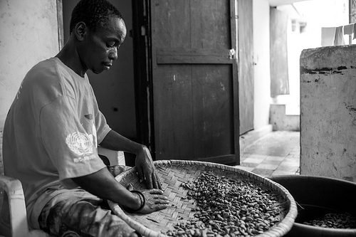 21~1.21.2013 Choclat