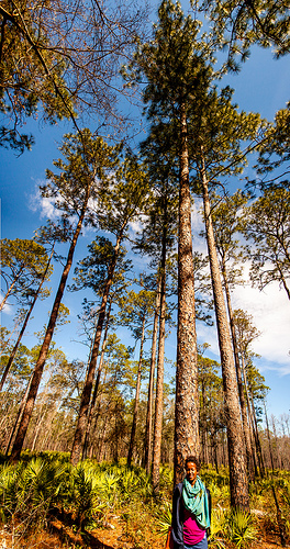 3.05.2013 ~ Color Returns