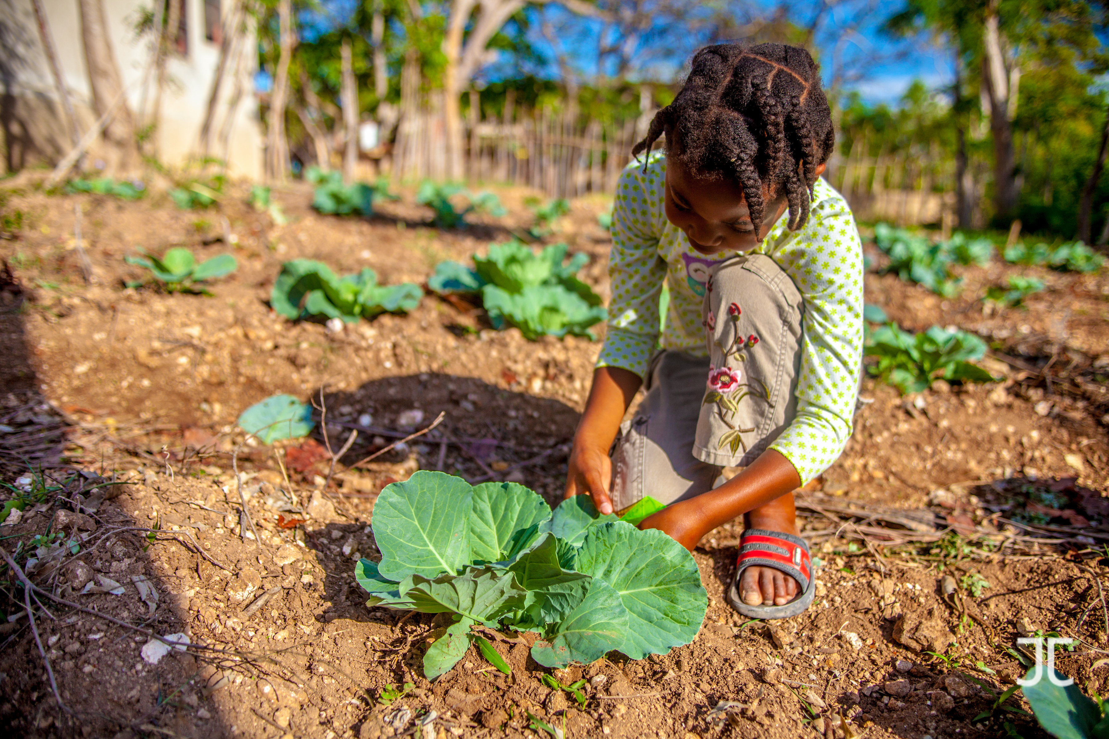 Children & Community Centered